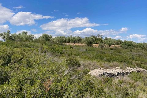 Landejendom i El Perello, Tarragona, El Perello - € 35.000 | Ref: Finca Godai Exc - foto 10